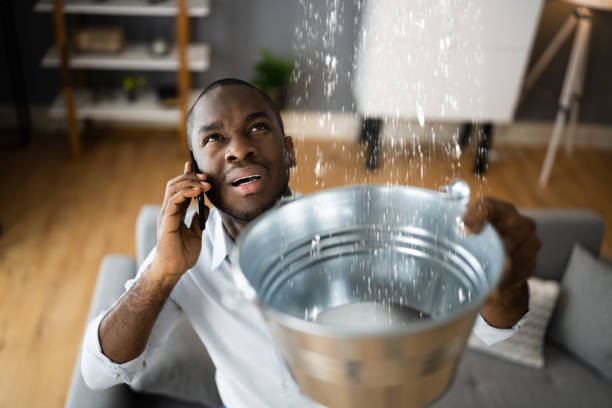 Best Flooded house restoration  in Newberg, OR