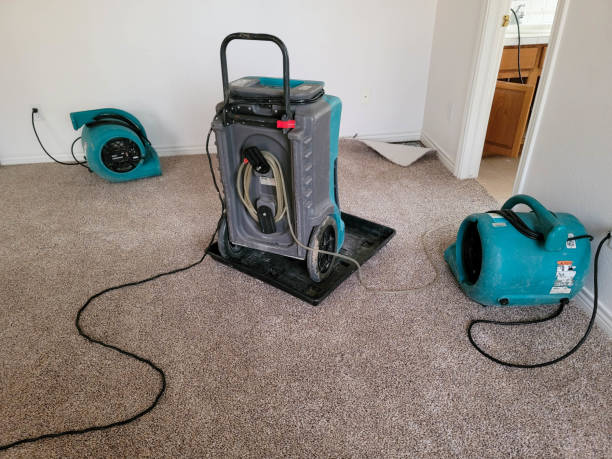 Best 24/7 water damage repair  in Newberg, OR
