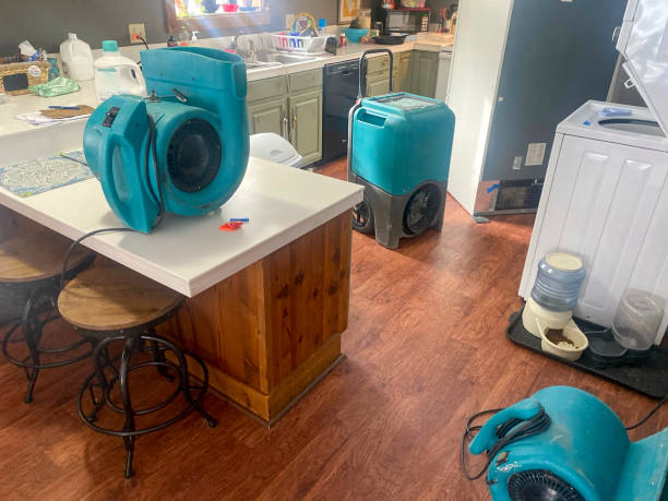 Best Sewage cleanup and water damage restoration  in Newberg, OR