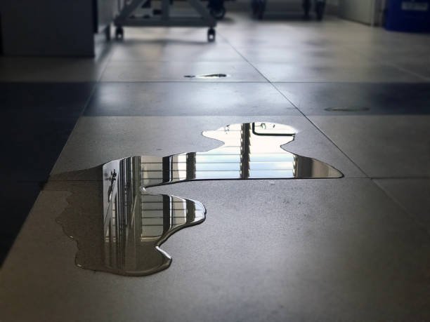 Best Water damage restoration experts  in Newberg, OR