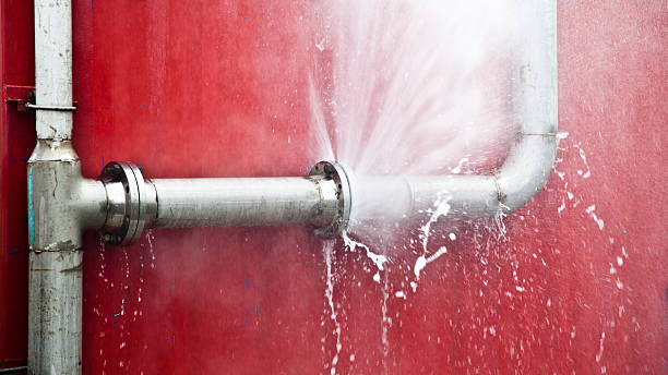 Best Local water damage restoration  in Newberg, OR